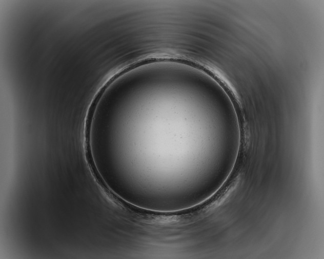 X0000094770845200711161354