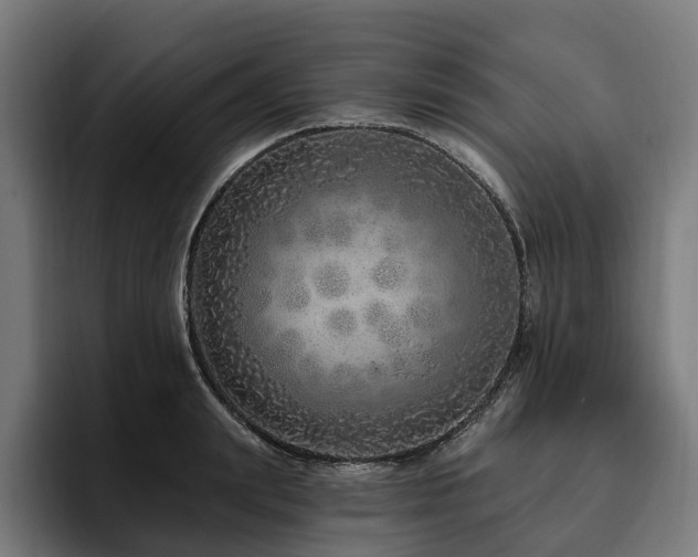 X0000094770847200711161354