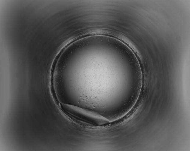 X0000094770853200711161354