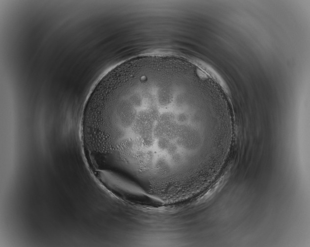 X0000094770855200711161354