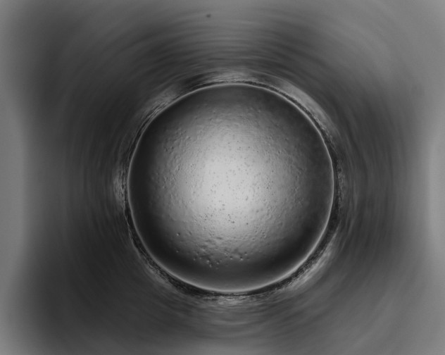 X0000094770857200711161354