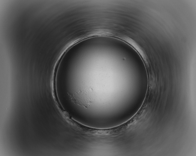 X0000094770861200711161354