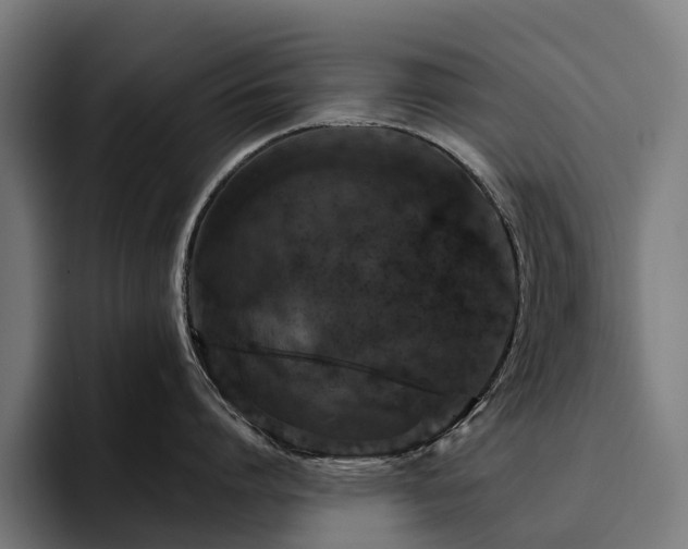 X0000094770864200711161354