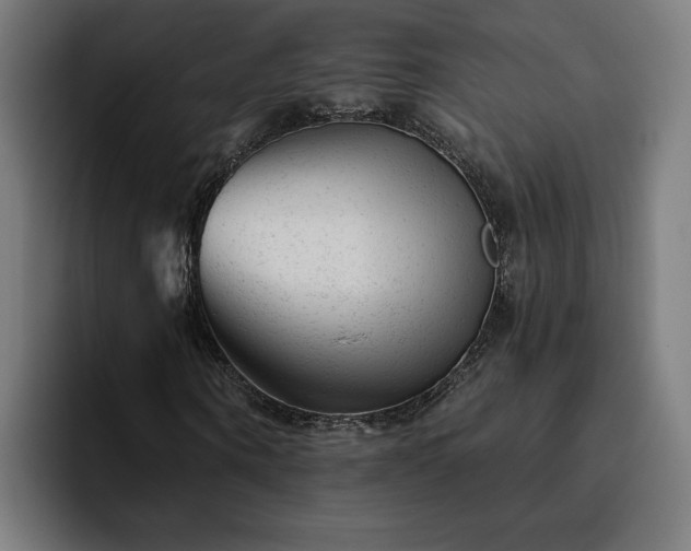 X0000094770866200711161354