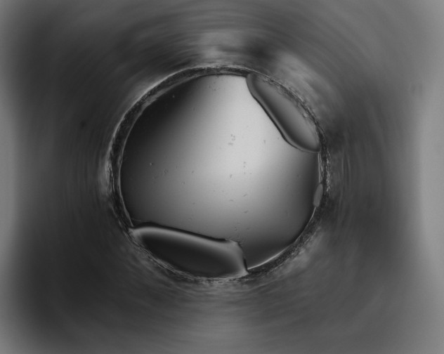 X0000094770876200711161354