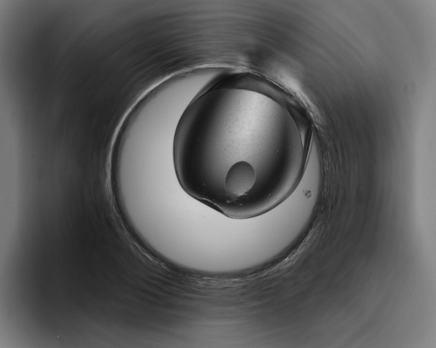 X0000094770884200711161353