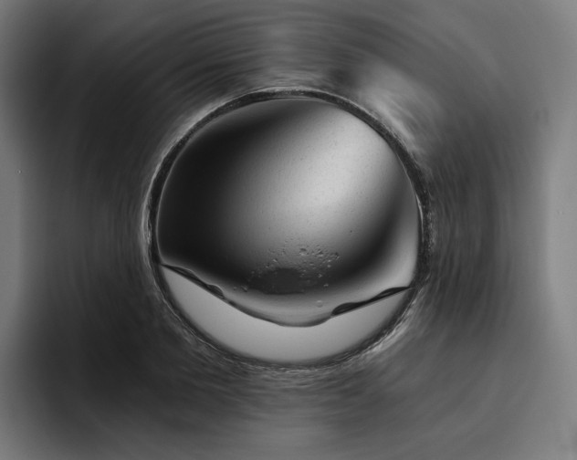 X0000094770885200711161353