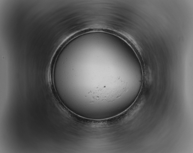 X0000094770887200711161353