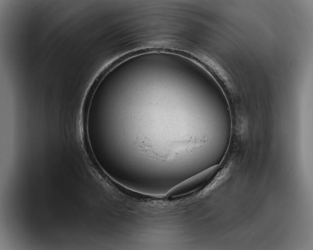 X0000094770888200711161353