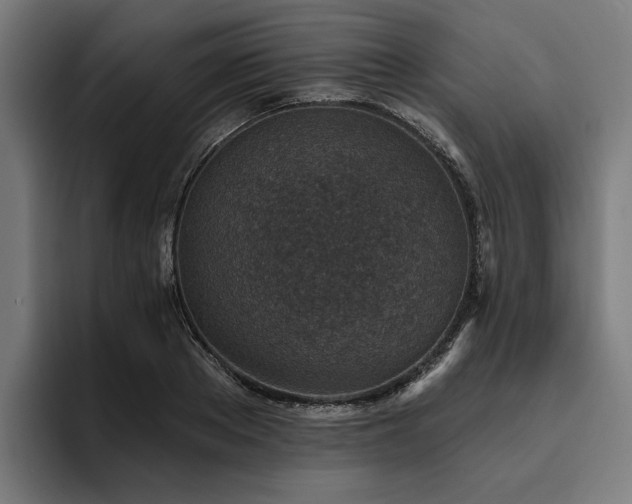 X0000094770889200711161353