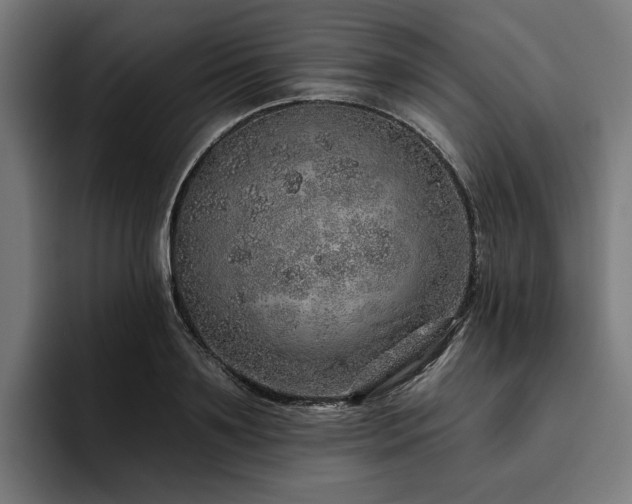 X0000094770891200711161353