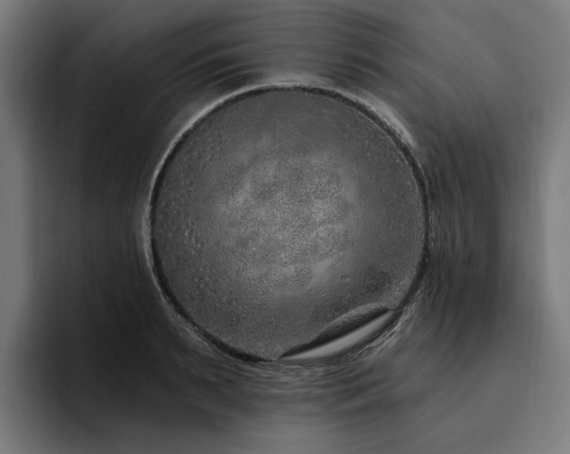 X0000094770895200711161353