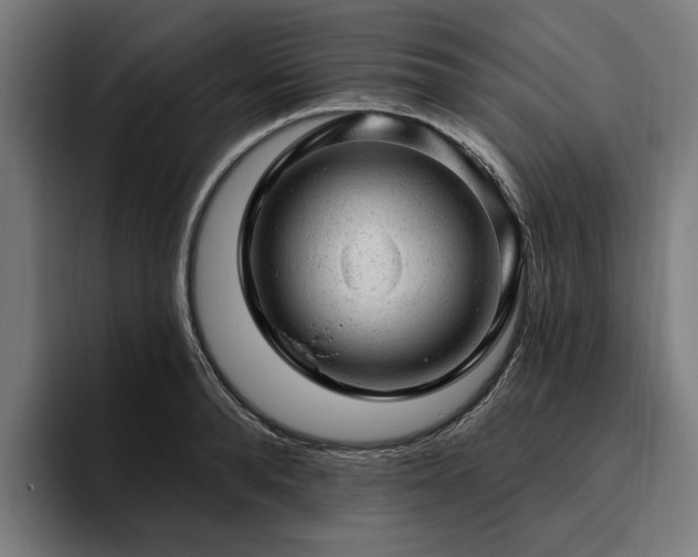 X0000094770896200711161353