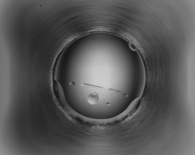 X0000094770898200711161353