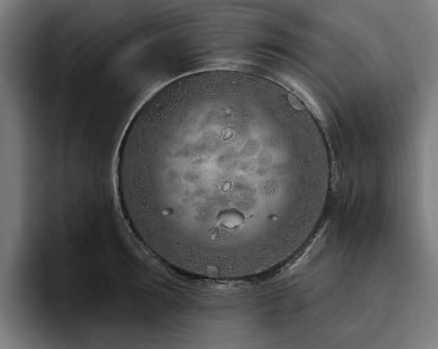 X0000094770899200711161353