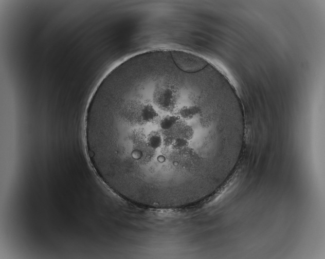 X0000094770903200711161353