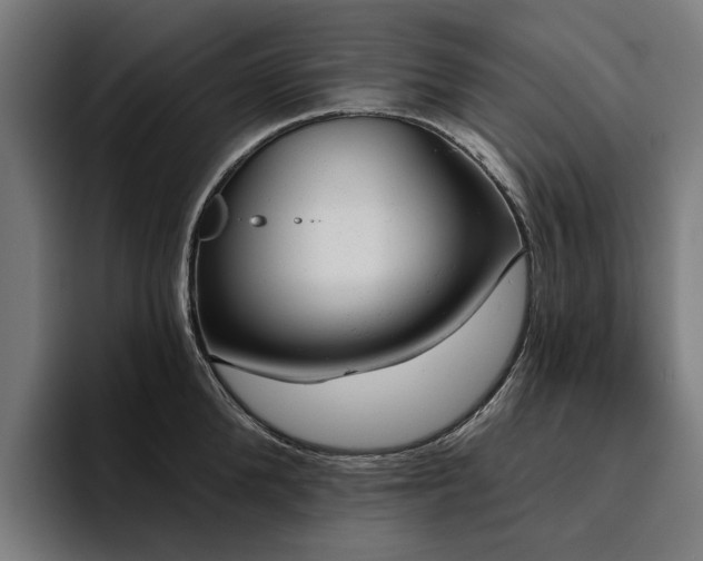 X0000094770904200711161353