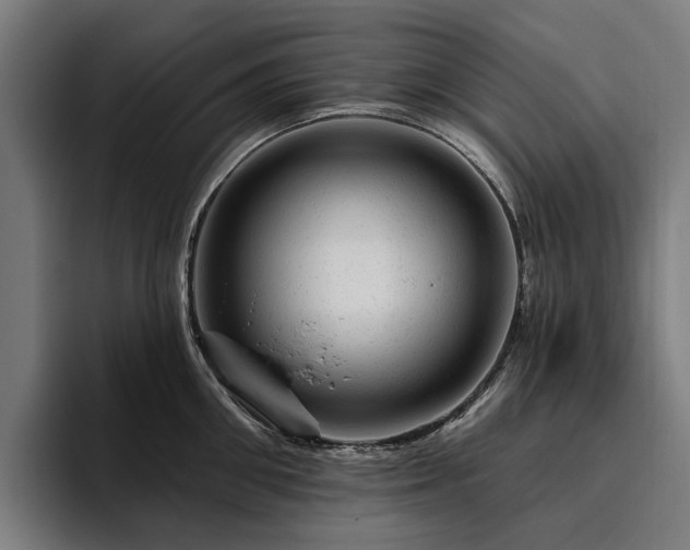 X0000094770906200711161353