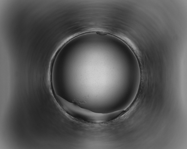 X0000094770910200711161353