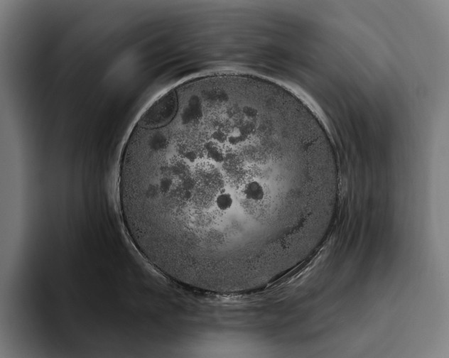 X0000094770911200711161353