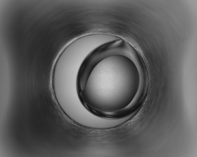 X0000094770912200711161353