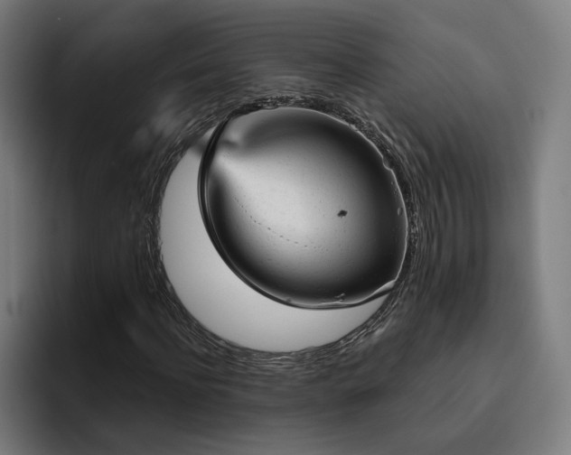 X0000094770916200711161352