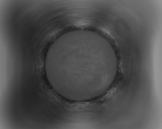 X0000094770917200711161352