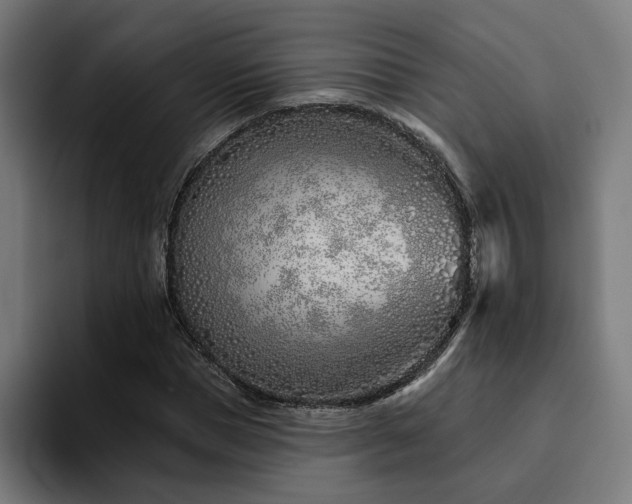 X0000094770921200711161353