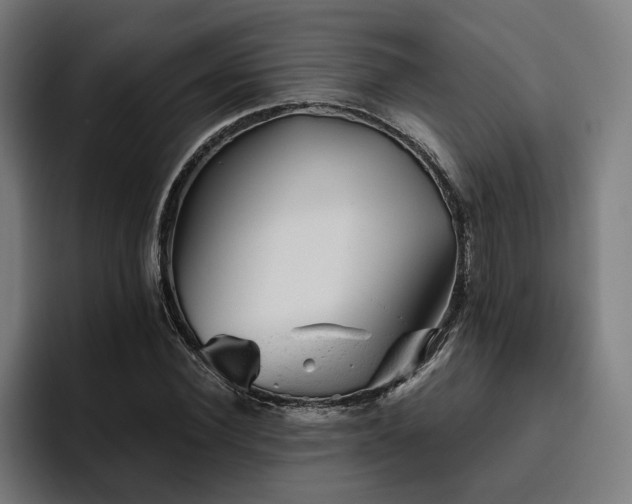 X0000094770924200711161353