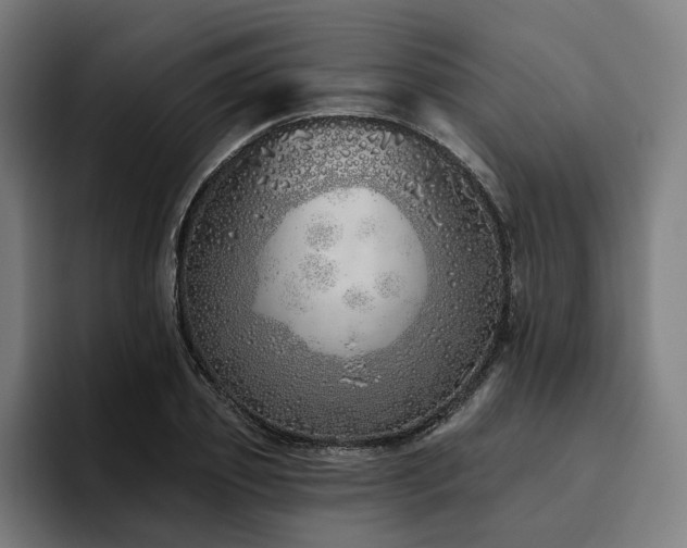 X0000094770933200711161353