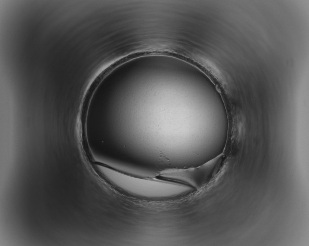 X0000094770936200711161353