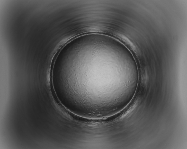 X0000094770938200711161353