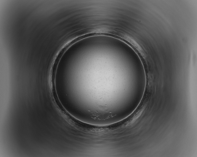 X0000094770939200711161353