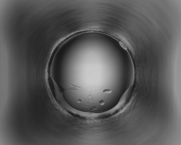 X0000094770944200711161353