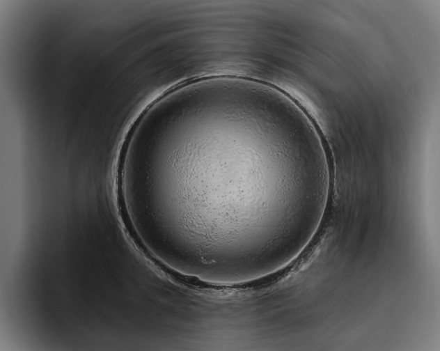 X0000094770949200711161353