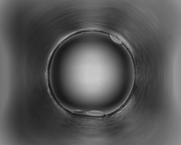 X0000094770951200711161353