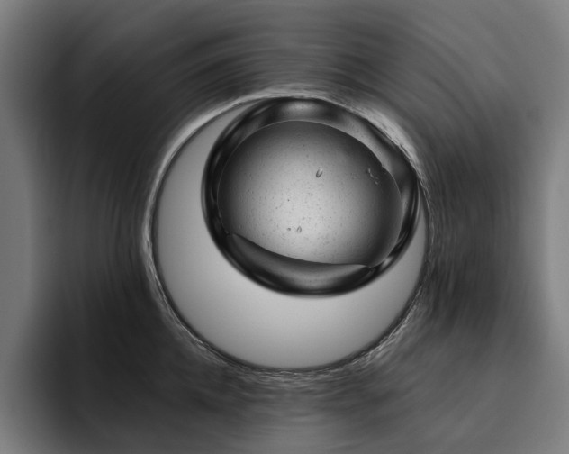 X0000094770952200711161353