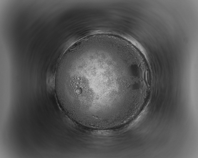 X0000094770953200711161353