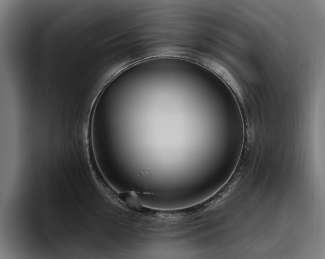 X0000094770954200711161353