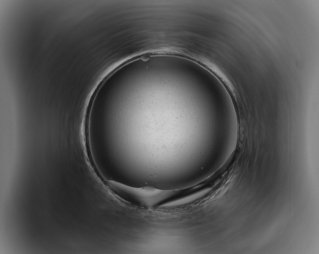 X0000094770959200711161353