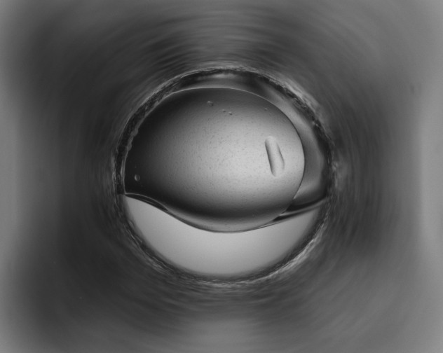 X0000094770969200711161352