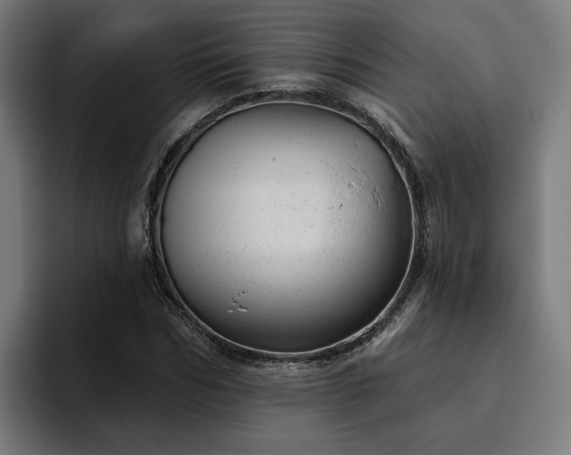 X0000094770970200711161352