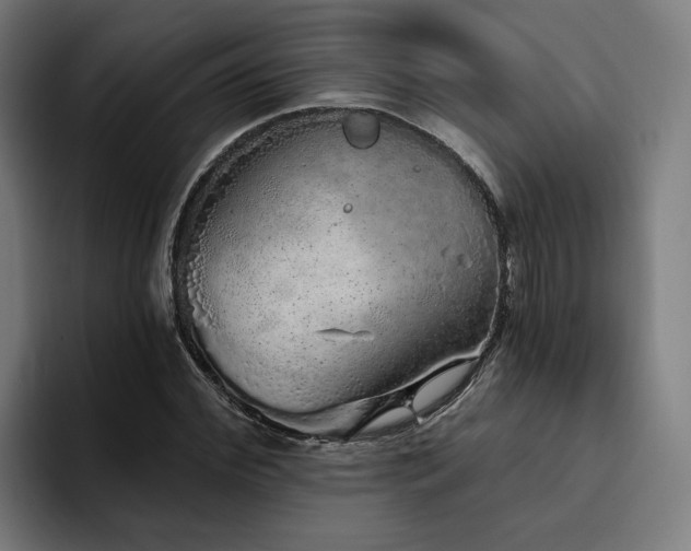 X0000094770972200711161352