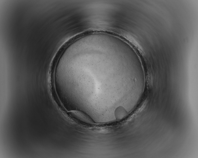 X0000094770976200711161352