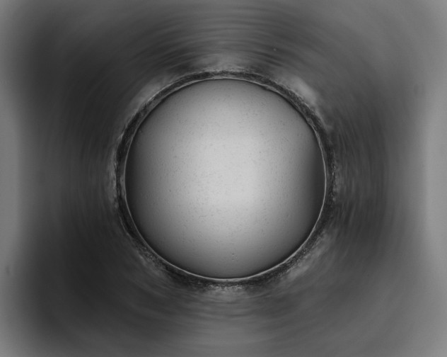 X0000094770978200711161352