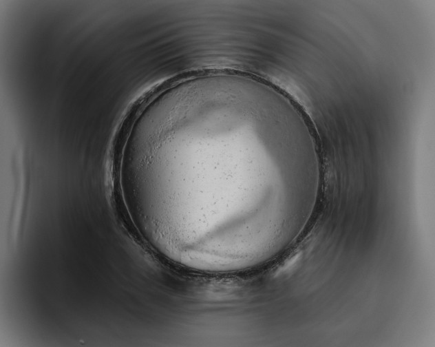 X0000094770979200711161352