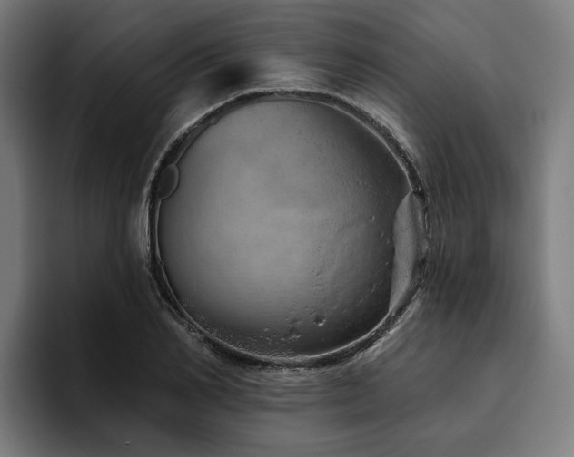 X0000094770982200711161352