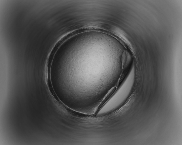 X0000094770984200711161352