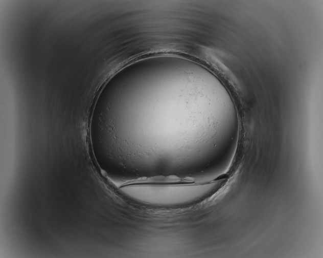 X0000094770985200711161352