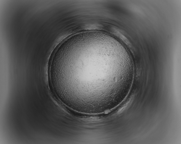 X0000094770986200711161352